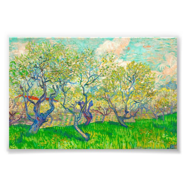 Vincent van Gogh Orchard in Blossom Photo Print (Front)