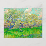 Vincent van Gogh Orchard in Blossom Postcard<br><div class="desc">Postcard featuring Vincent van Gogh’s oil painting Orchard in Blossom (1889). Beautiful plum trees blossom their leaves and fruit in Arles,  France.  A wonderful gift for lovers of Post-Impressionism and Dutch art collectors!</div>