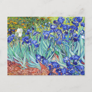 Vincent Van Gogh painting Irises Holiday Postcard