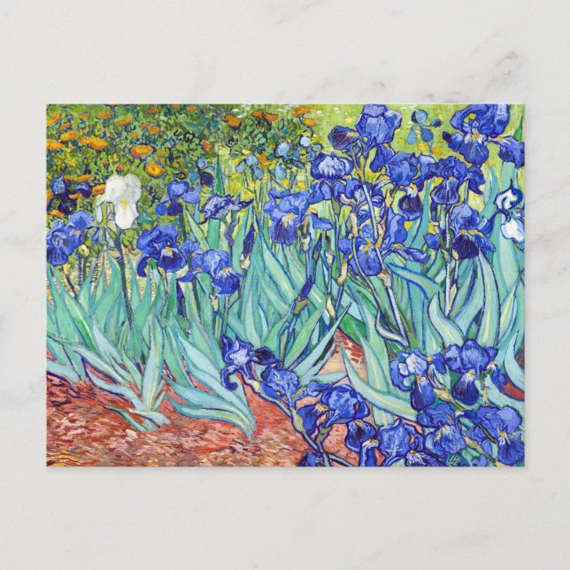 Vincent Van Gogh painting Irises Invitation Postcard (Front)