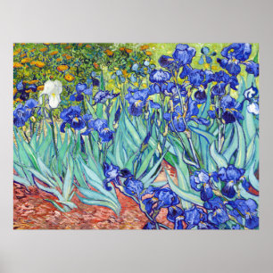Vincent Van Gogh painting Irises Poster