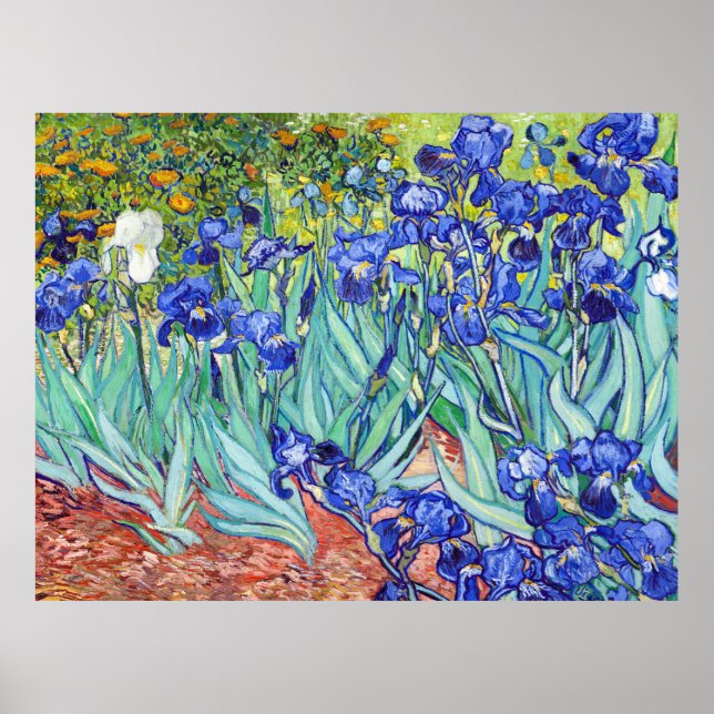 Vincent Van Gogh painting Irises Poster (Front)