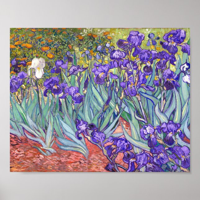 Vincent Van Gogh Purple Irises Fine Art Poster (Front)