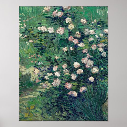 Vincent Van Gogh _ Rosebush in Blossom Poster