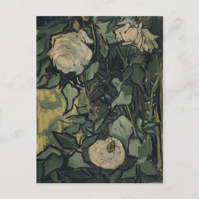 Vincent van Gogh - Roses and Beetle Postcard (Front)