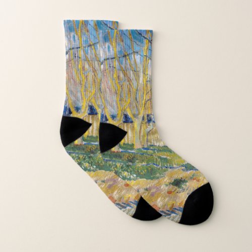Vincent van Gogh _ The Blue Train Socks
