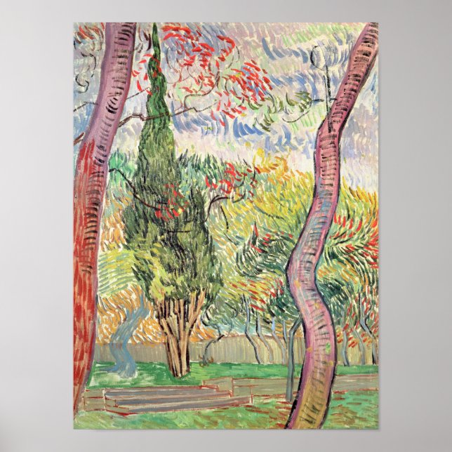 Vincent van Gogh | The Garden of St. Paul Hospital Poster (Front)
