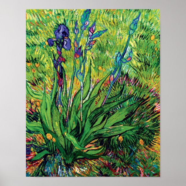 Vincent Van Gogh - The Iris - Flower Lover Pop Art Poster (Front)