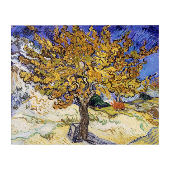Vincent van Gogh - The Mulberry Tree Acrylic Print (Front)