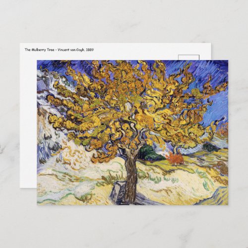 Vincent van Gogh _ The Mulberry Tree Postcard