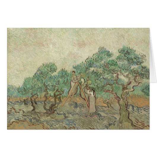 Vincent Van Gogh | The Olive Orchard Cards (Front Horizontal)