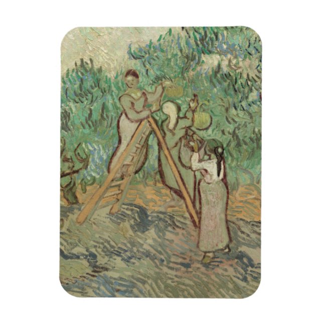 Vincent Van Gogh | The Olive Orchard Magnet (Vertical)