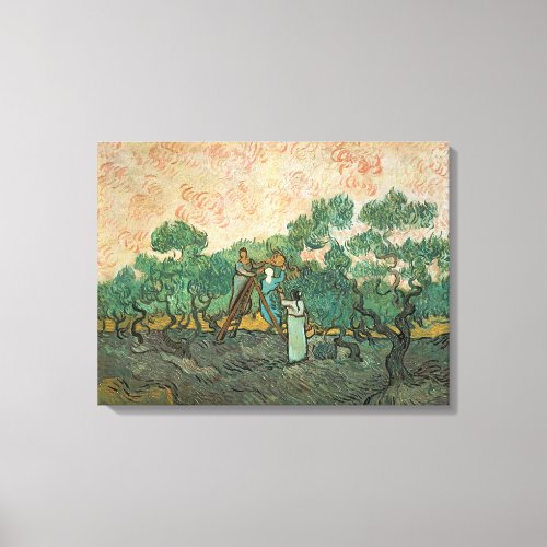 Vincent van Gogh  The Olive Pickers Saint_Remy Canvas Print