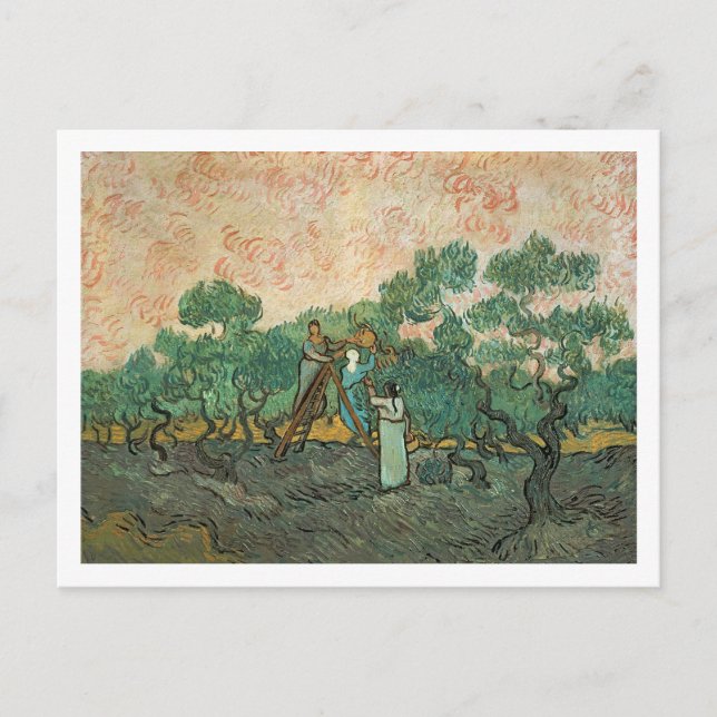 Vincent van Gogh | The Olive Pickers, Saint-Remy Postcard (Front)
