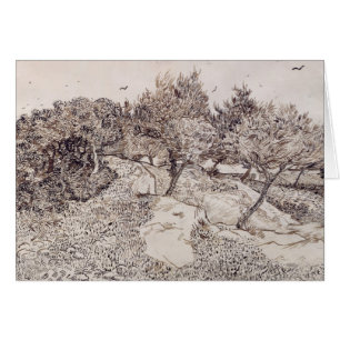 Vincent van Gogh The Olive Trees