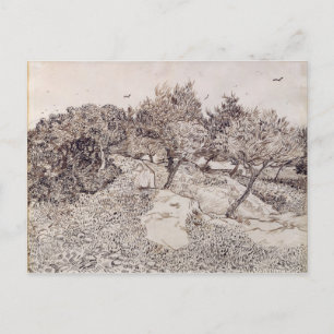 Vincent van Gogh The Olive Trees Postcard