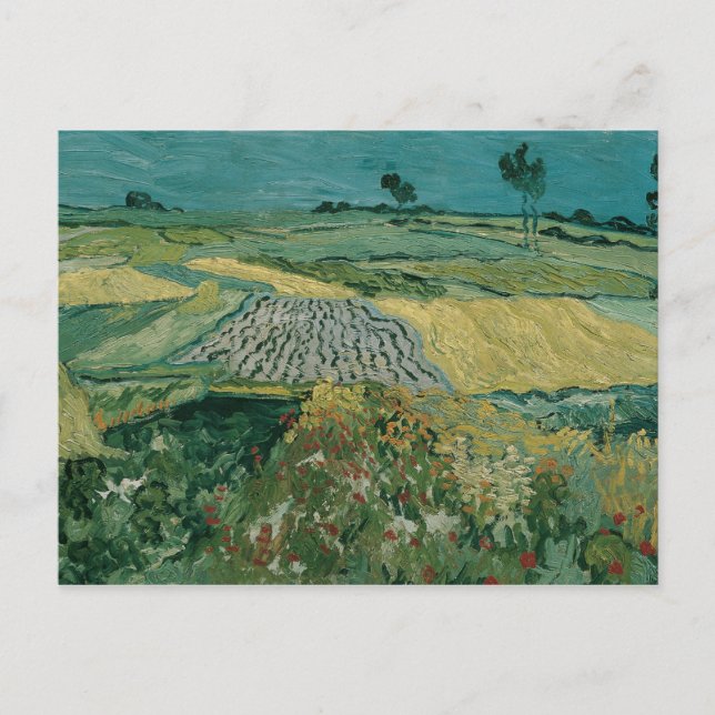 Vincent van Gogh - The Plain of Auvers Postcard (Front)