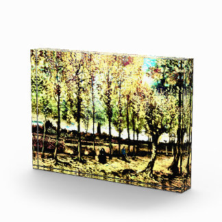 Vincent Van Gogh - The poplars in Nuenen 3 Acrylic Award
