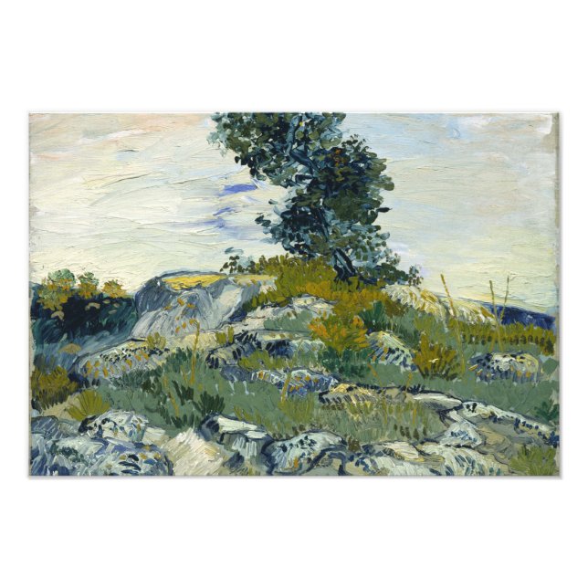 Vincent van Gogh - The Rocks Photo Print (Front)
