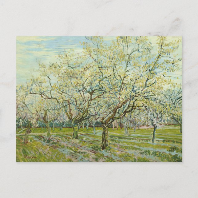 Vincent van Gogh - The White Orchard Postcard (Front)