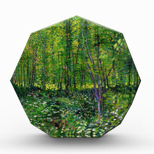 Vincent Van Gogh Trees And Undergrowth Award
