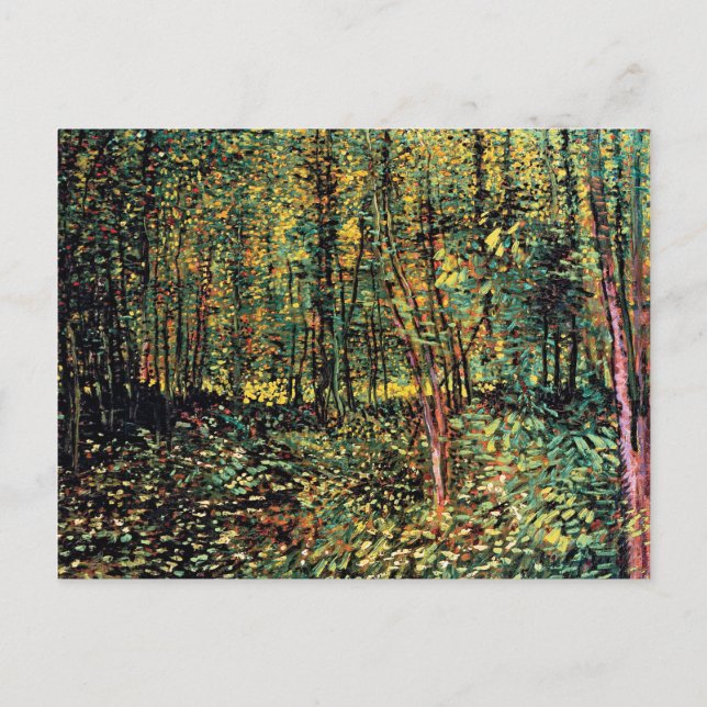 Vincent Van Gogh - Trees And Undergrowth Fine Art Postcard (Front)