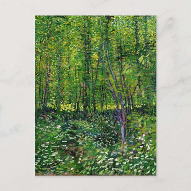 Vincent Van Gogh Trees And Undergrowth Postcard (Front)