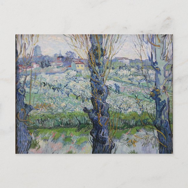 Vincent Van Gogh - Trees Painting Artwork Postcard (Front)