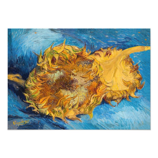 Vincent van Gogh - Two Cut Sunflowers Photo Print (Front)