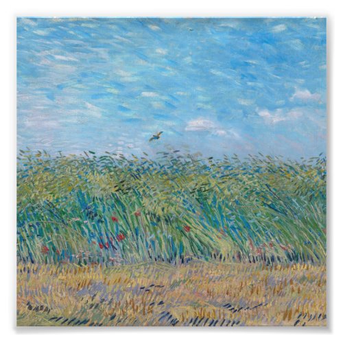 Vincent Van Gogh _ Wheat Field with a Lark Photo Print