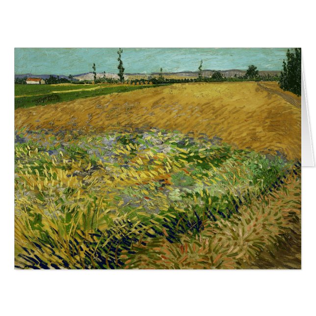 Vincent Van Gogh, Wheatfield, Korenveld Cards (Front Horizontal)