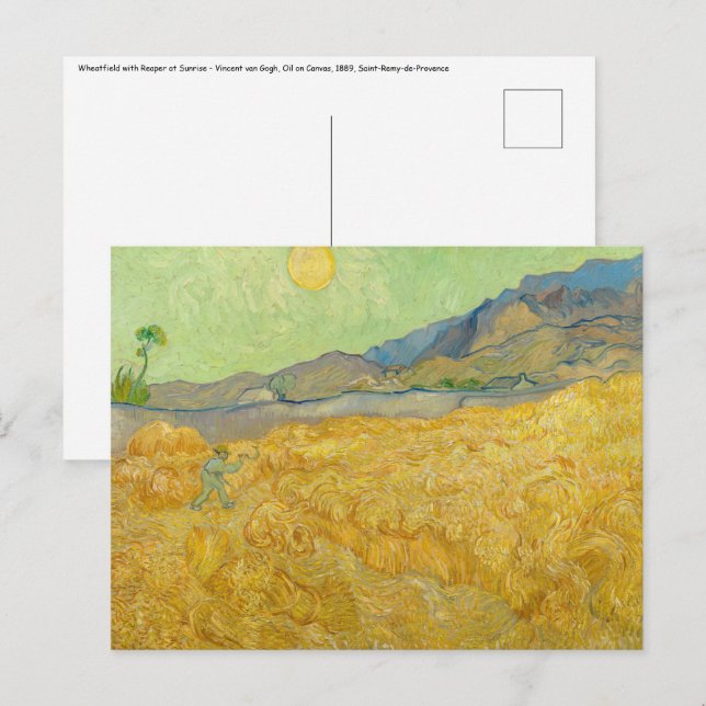 Vincent van Gogh - Wheatfield with a Reaper Postcard (Front/Back)