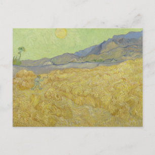 Vincent Van Gogh, Wheatfield With A Reaper Postcard