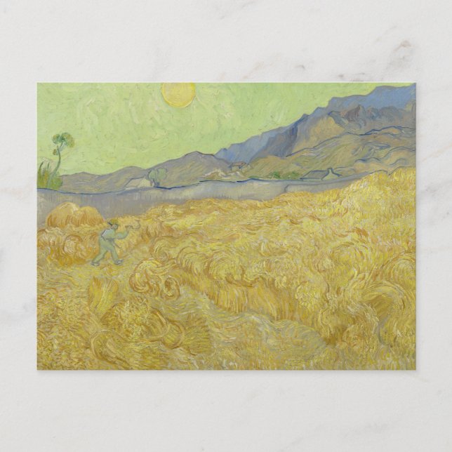 Vincent van Gogh - Wheatfield with a Reaper Postcard (Front)