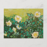 Vincent Van Gogh Wild Roses Fine Art Postcard<br><div class="desc">Vincent Van Gogh Wild Roses Fine Art Postcard</div>