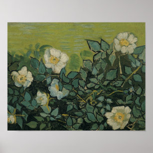 Vincent van Gogh - Wild Roses Poster