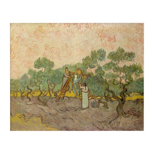 Vincent van Gogh _ Women Picking Olives Acrylic Print