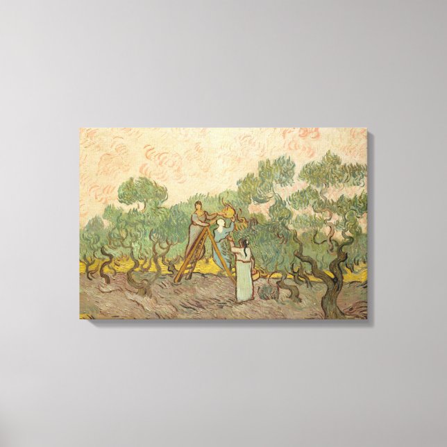 Vincent van Gogh - Women Picking Olives Canvas Print (Front)