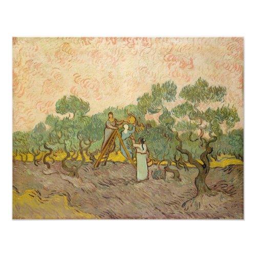 Vincent van Gogh _ Women Picking Olives Photo Print