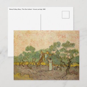 Vincent van Gogh - Women Picking Olives Postcard