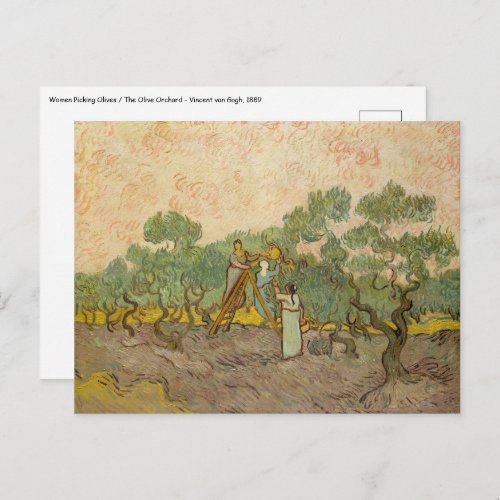 Vincent van Gogh _ Women Picking Olives Postcard