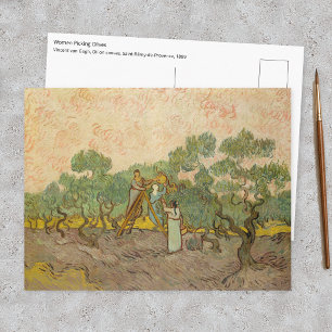 Vincent van Gogh - Women Picking Olives Postcard