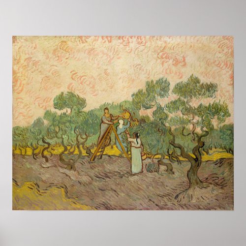 Vincent van Gogh _ Women Picking Olives Poster