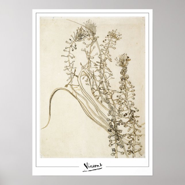 Vincent Van Gogh Zedign Art Poster #356-3 (Front)