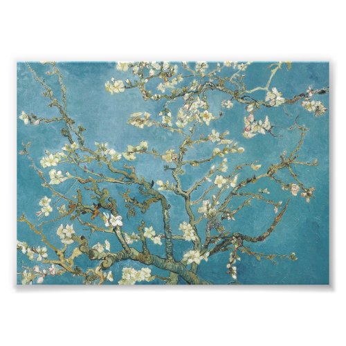Vincent van Goghs Almond blossom 1890 Photo Print