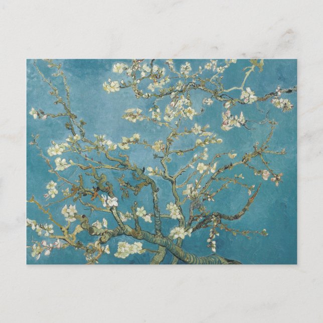 Vincent van Gogh's Almond blossom (1890) Postcard (Front)