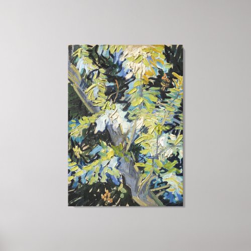 Vincent van Goghs Blossoming Acacia Branches Canvas Print