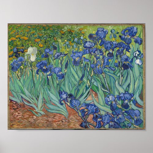 Vincent Van Goghs Irises Poster