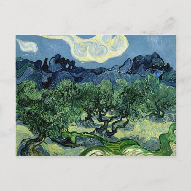 Vincent van Gogh's Olive Trees (1889) Postcard (Front)