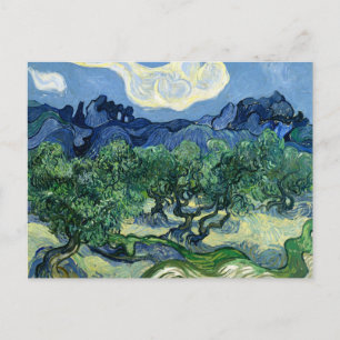 Vincent van Gogh's Olive Trees  Postcard